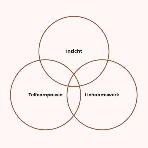 Inzicht – 1 Inzicht - 1