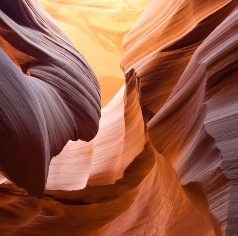 pexels-paul-ijsendoorn-33041